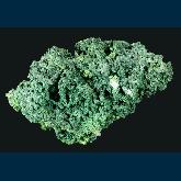 Wulfenite on Mottramite