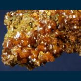 Wulfenite on Mottramite