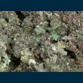 Quartz with Chalcopyrite
