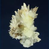 Aragonite and Calcite