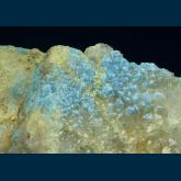 Cyanotrichite
