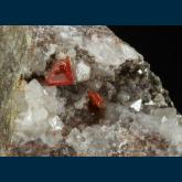 Wulfenite