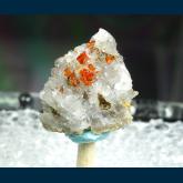 Wulfenite