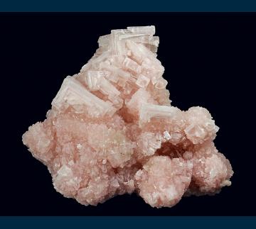 OL-04 Halite on Trona (pseudo. Halite) from Owens Lake, Olancha, Inyo Co., California, USA OL-04 Halite on Trona (pseudo. Halite) from Owens Lake, Olancha, Inyo Co., California, USA