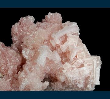 OL-04 Halite on Trona (pseudo. Halite) from Owens Lake, Olancha, Inyo Co., California, USA OL-04 Halite on Trona (pseudo. Halite) from Owens Lake, Olancha, Inyo Co., California, USA