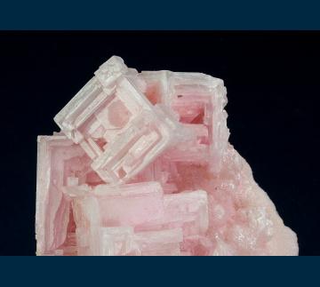 OL-13 Halite on Trona from Owens Lake, Olancha, Inyo Co., California, USA OL-13 Halite on Trona from Owens Lake, Olancha, Inyo Co., California, USA