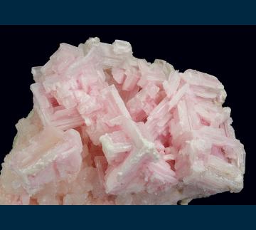 OL-14 Halite on Trona from Owens Lake, Olancha, Inyo Co., California, USA OL-14 Halite on Trona from Owens Lake, Olancha, Inyo Co., California, USA