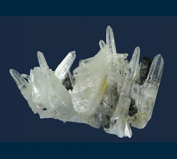 Q099 Hubnerite on Quartz from Mundo Nuevo Mine, Huamachuco, Sanchez Carrion Province, Dept. de La Libertad, Peru