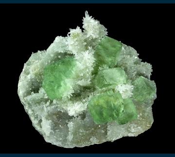 DC15-01 Fluorite on Quartz from Youxi Co., Sanming Prefecture, Fujian Province, China DC15-01 Fluorite on Quartz from Youxi Co., Sanming Prefecture, Fujian Province, China