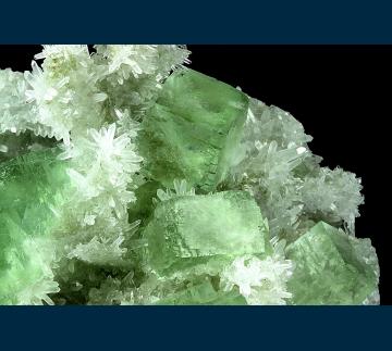 DC15-01 Fluorite on Quartz from Youxi Co., Sanming Prefecture, Fujian Province, China DC15-01 Fluorite on Quartz from Youxi Co., Sanming Prefecture, Fujian Province, China
