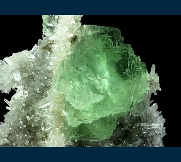 DC15-03 Fluorite on Quartz from Youxi Co., Sanming Prefecture, Fujian Province, China DC15-03 Fluorite on Quartz from Youxi Co., Sanming Prefecture, Fujian Province, China