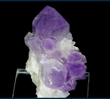 DC15-06 Quartz (var. Amethyst) from Jacksons Crossroads, Wilkes Co., Georgia, USA DC15-06 Quartz (var. Amethyst) from Jacksons Crossroads, Wilkes Co., Georgia, USA
