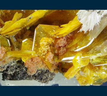 CMS172 Wulfenite with Mimetite and Barite from San Francisco Mine, Sierra Prieta, Municipio de Cucurpe, Sonora, Mexico