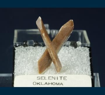 TN305 Gypsum (v. Selenite) from Great Salt Plains, near Jet, Alfalfa County, Oklahoma, USA TN305 Gypsum (v. Selenite) from Great Salt Plains, near Jet, Alfalfa County, Oklahoma, USA
