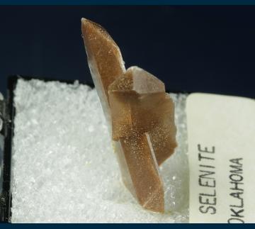 TN305 Gypsum (v. Selenite) from Great Salt Plains, near Jet, Alfalfa County, Oklahoma, USA TN305 Gypsum (v. Selenite) from Great Salt Plains, near Jet, Alfalfa County, Oklahoma, USA