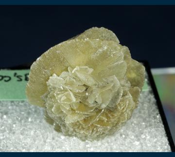 TN307 Gypsum (v. Selenite) from Colorado Springs, El Paso Co., Colorado, USA