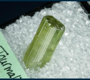 TN314 Elbaite tourmaline (gemmy!) from Minas Gerais, Brazil TN314 Elbaite tourmaline (gemmy!) from Minas Gerais, Brazil