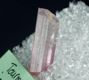 TN317 Elbaite tourmaline from Minas Gerais, Brazil TN317 Elbaite tourmaline from Minas Gerais, Brazil
