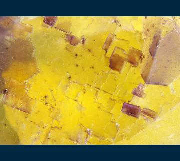 F038 Fluorite from Annabel Lee Mine, Cave-in-Rock District, Hardin County, Illinois, USA F038 Fluorite from Annabel Lee Mine, Cave-in-Rock District, Hardin County, Illinois, USA