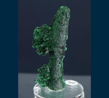 CMS286 Malachite from Shaba Cu belt, Katanga (Shaba) Province, Democratic Republic of Congo