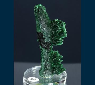 CMS286 Malachite from Shaba Cu belt, Katanga (Shaba) Province, Democratic Republic of Congo