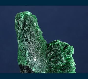 CMS286 Malachite from Shaba Cu belt, Katanga (Shaba) Province, Democratic Republic of Congo