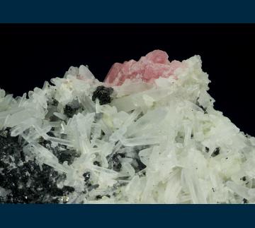 SHR-01 Tetrahedrite and Rhodochrosite on Quartz from Sweet Home Mine, Mount Bross, Alma District, Park Co., Colorado, USA SHR-01 Tetrahedrite and Rhodochrosite on Quartz from Sweet Home Mine, Mount Bross, Alma District, Park Co., Colorado, USA