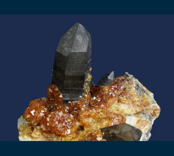 Q206 Spessartine garnet on Quartz (Smoky) with Orthoclase from Wushan Spessartine Mine, Tongbei, Yunxiao Co., Zhangzhou Prefecture, Fujian Province, China Q206 Spessartine garnet on Quartz (Smoky) with Orthoclase from Wushan Spessartine Mine, Tongbei, Yunxiao Co., Zhangzhou Prefecture, Fujian Province, China