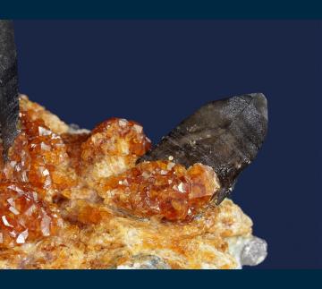 Q206 Spessartine garnet on Quartz (Smoky) with Orthoclase from Wushan Spessartine Mine, Tongbei, Yunxiao Co., Zhangzhou Prefecture, Fujian Province, China Q206 Spessartine garnet on Quartz (Smoky) with Orthoclase from Wushan Spessartine Mine, Tongbei, Yunxiao Co., Zhangzhou Prefecture, Fujian Province, China