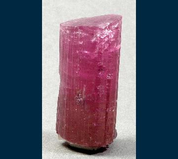 SDM88 Elbaite tourmaline from San Diego Mine, Mesa Grande District, San Diego County, California, USA SDM88 Elbaite tourmaline from San Diego Mine, Mesa Grande District, San Diego County, California, USA