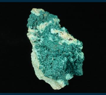 RG0314 Rosasite from 79 Mine, Banner District, Dripping Springs Mts., Gila County, Arizona, USA RG0314 Rosasite from 79 Mine, Banner District, Dripping Springs Mts., Gila County, Arizona, USA