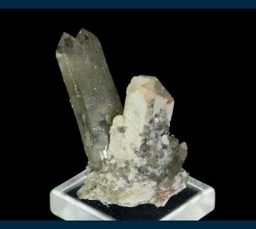 CMS175 Orthoclase twin with Quartz (v. Smoky) from Baveno, on Lago Maggiore, Verbano-Cusio-Ossola Province, Piedmont Region, Italy CMS175 Orthoclase twin with Quartz (v. Smoky) from Baveno, on Lago Maggiore, Verbano-Cusio-Ossola Province, Piedmont Region, Italy