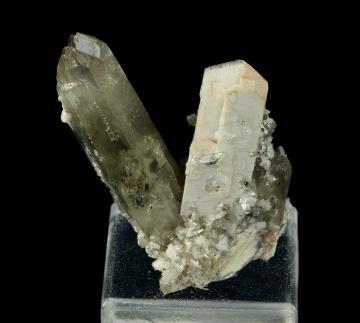 CMS175 Orthoclase twin with Quartz (v. Smoky) from Baveno, on Lago Maggiore, Verbano-Cusio-Ossola Province, Piedmont Region, Italy CMS175 Orthoclase twin with Quartz (v. Smoky) from Baveno, on Lago Maggiore, Verbano-Cusio-Ossola Province, Piedmont Region, Italy