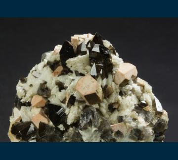 Q271 Quartz (var. Smoky), Microcline, Albite from North Moat Mountain, Bartlett, Carroll County, New Hampshire, USA Q271 Quartz (var. Smoky), Microcline, Albite from North Moat Mountain, Bartlett, Carroll County, New Hampshire, USA