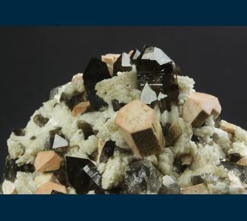 Q271 Quartz (var. Smoky), Microcline, Albite from North Moat Mountain, Bartlett, Carroll County, New Hampshire, USA Q271 Quartz (var. Smoky), Microcline, Albite from North Moat Mountain, Bartlett, Carroll County, New Hampshire, USA