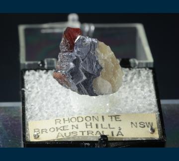 T-081 Rhodonite on Galena from Broken Hill, Yancowinna Co., New South Wales, Australia T-081 Rhodonite on Galena from Broken Hill, Yancowinna Co., New South Wales, Australia