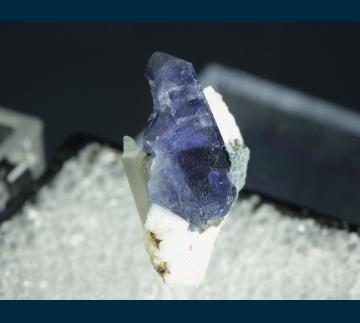 T-084 Benitoite on Natrolite from Dallas Gem Mine area, New Idria District, Diablo Range, San Benito Co., California, USA T-084 Benitoite on Natrolite from Dallas Gem Mine area, New Idria District, Diablo Range, San Benito Co., California, USA