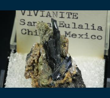 T-090 Vivianite with Siderite and Pyrite from Santa Eulalia District, Mun. de Aquiles Serdán, Chihuahua, Mexico T-090 Vivianite with Siderite and Pyrite from Santa Eulalia District, Mun. de Aquiles Serdán, Chihuahua, Mexico