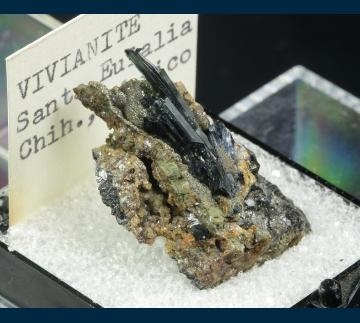 T-090 Vivianite with Siderite and Pyrite from Santa Eulalia District, Mun. de Aquiles Serdán, Chihuahua, Mexico T-090 Vivianite with Siderite and Pyrite from Santa Eulalia District, Mun. de Aquiles Serdán, Chihuahua, Mexico