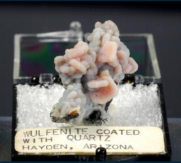 T-095 Wulfenite coated with Quartz from Finch (Barking Spider) Mine, Reagan claims, Banner District, Dripping Spring Mts., Gila Co., Arizona, USA T-095 Wulfenite coated with Quartz from Finch (Barking Spider) Mine, Reagan claims, Banner District, Dripping Spring Mts., Gila Co., Arizona, USA