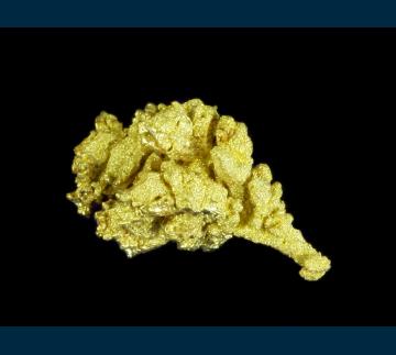 T-119 Gold from Dixie Mine, Lamartine District, Clear Creek Co., Colorado, USA T-119 Gold from Dixie Mine, Lamartine District, Clear Creek Co., Colorado, USA