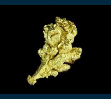 T-119 Gold from Dixie Mine, Lamartine District, Clear Creek Co., Colorado, USA T-119 Gold from Dixie Mine, Lamartine District, Clear Creek Co., Colorado, USA