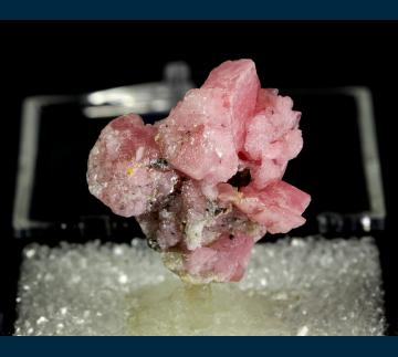 T-265 Rhodochrosite with Pyrite from Sunnyside Mine (American Tunnel), Eureka District, San Juan Co., Colorado, USA T-265 Rhodochrosite with Pyrite from Sunnyside Mine (American Tunnel), Eureka District, San Juan Co., Colorado, USA
