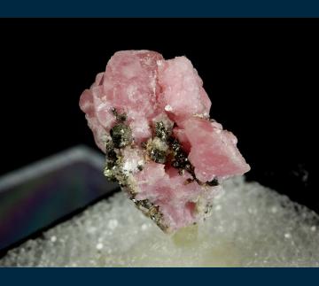 T-265 Rhodochrosite with Pyrite from Sunnyside Mine (American Tunnel), Eureka District, San Juan Co., Colorado, USA T-265 Rhodochrosite with Pyrite from Sunnyside Mine (American Tunnel), Eureka District, San Juan Co., Colorado, USA