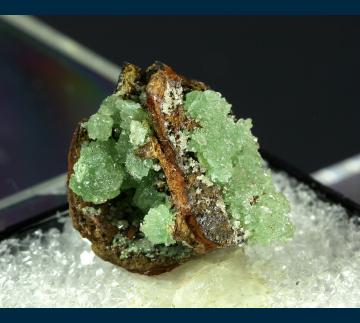 T-277 Conichalcite from Ojuela Mine, Mapimi District, Bufa de Mapimi, Mun. de Mapimi, Durango, Mexico T-277 Conichalcite from Ojuela Mine, Mapimi District, Bufa de Mapimi, Mun. de Mapimi, Durango, Mexico