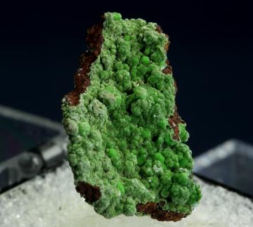 T-302 Conichalcite on Limonite from Ojuela Mine, Mapimi District, Bufa de Mapimi, Mun. de Mapimi, Durango, Mexico T-302 Conichalcite on Limonite from Ojuela Mine, Mapimi District, Bufa de Mapimi, Mun. de Mapimi, Durango, Mexico