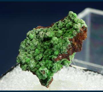 T-302 Conichalcite on Limonite from Ojuela Mine, Mapimi District, Bufa de Mapimi, Mun. de Mapimi, Durango, Mexico T-302 Conichalcite on Limonite from Ojuela Mine, Mapimi District, Bufa de Mapimi, Mun. de Mapimi, Durango, Mexico