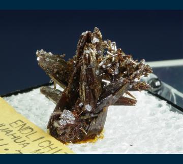 T-316 Vanadinite (var. Endlichite) from Erupcion/Ahumada Mine, Los Lamentos District, Sierra de Los Lamentos, Municipio de Ahumada, Chihuahua, Mexico