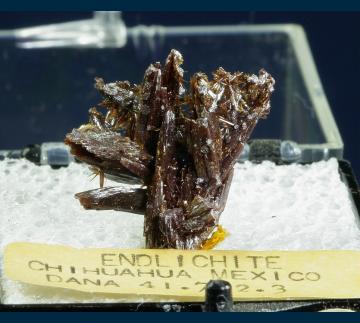 T-316 Vanadinite (var. Endlichite) from Erupcion/Ahumada Mine, Los Lamentos District, Sierra de Los Lamentos, Municipio de Ahumada, Chihuahua, Mexico