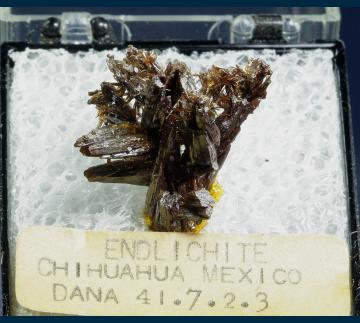 T-316 Vanadinite (var. Endlichite) from Erupcion/Ahumada Mine, Los Lamentos District, Sierra de Los Lamentos, Municipio de Ahumada, Chihuahua, Mexico